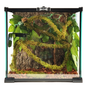 Repti-Zoo Liana with natural moss 1.5cm x 2m